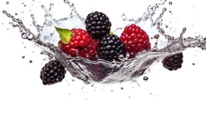 Blackberries and raspberries splashing into water with a white background